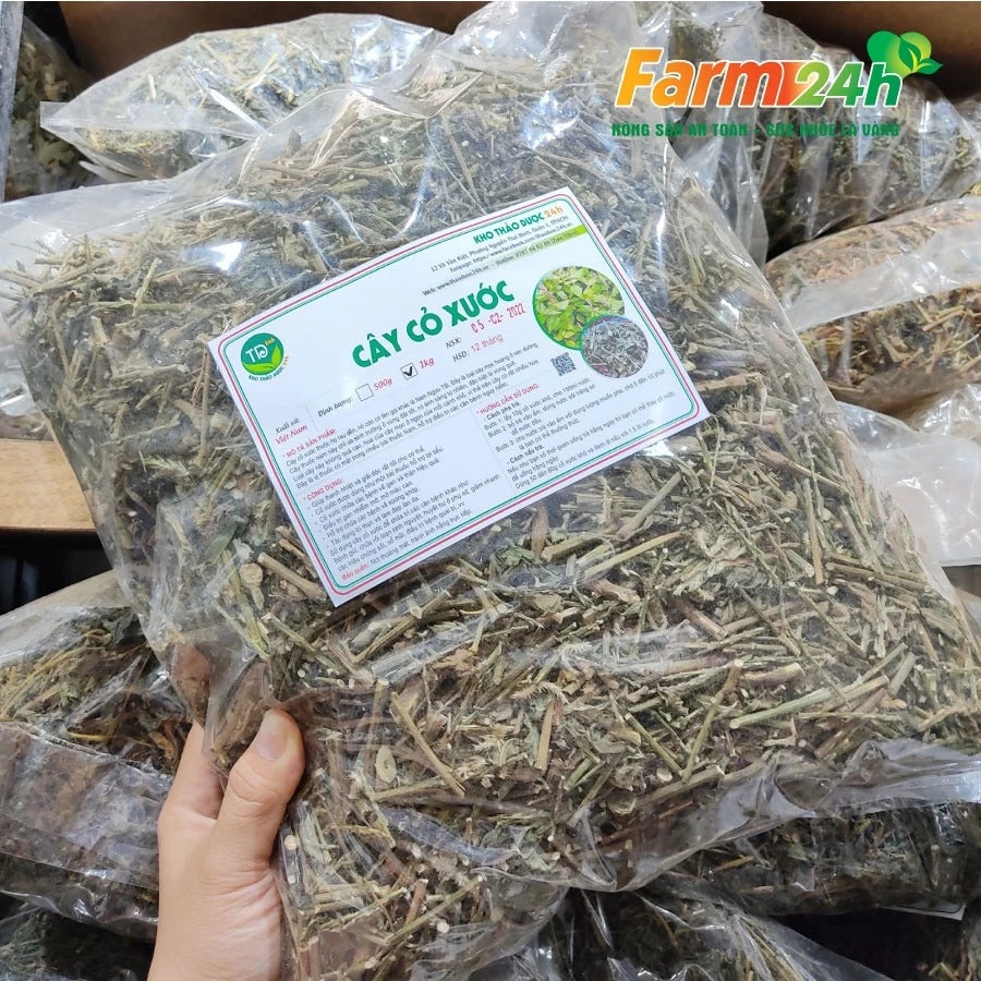 500 Gram - Cây cỏ xước khô, đánh bay sỏi thận, tiểu đường, mỡ máu cao, ổn định kinh nguyệt, tốt cho người bị thoái hóa khớp xương