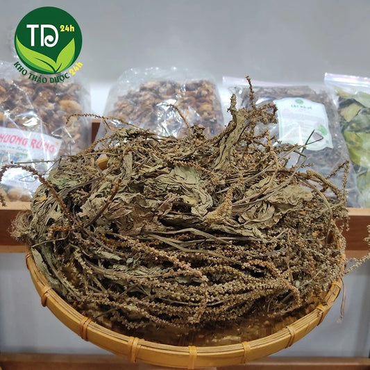 500 Gram - Cây mã đề khô, đánh bay sỏi thận, hỗ trợ rất tốt cho những ai bị bí tiểu, tiểu dắt, điều hòa và ổn định huyết áp