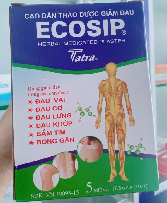 20 Packs x 5 Patches Ecosip Herbal Patch Sheng Chun Cao dan Thao duoc - Cao dán Ecosip Cool giảm đau cơ xương khớp gói 5 miếng