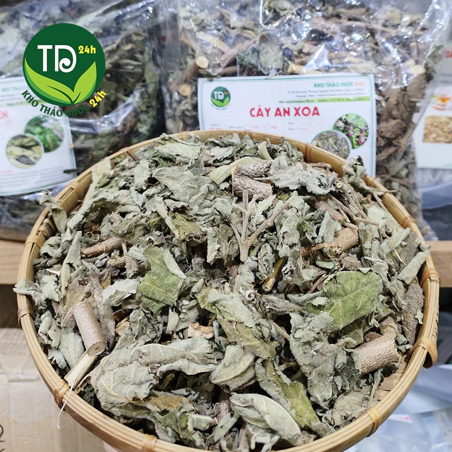 500 Gram - Cây An Xoa khô Hòa Bình, thảo dược quý làm mát gan, giải độc, hạ men gan, ngừa xơ gan, bảo vệ gan