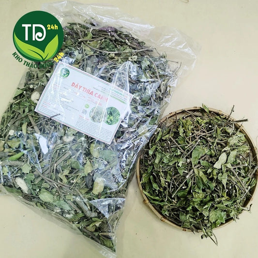 500 Gram - Dây thìa canh Thái Nguyên chính hiệu, giảm mỡ máu cao, tốt cho người tiểu đường, kiểm soát cân nặng