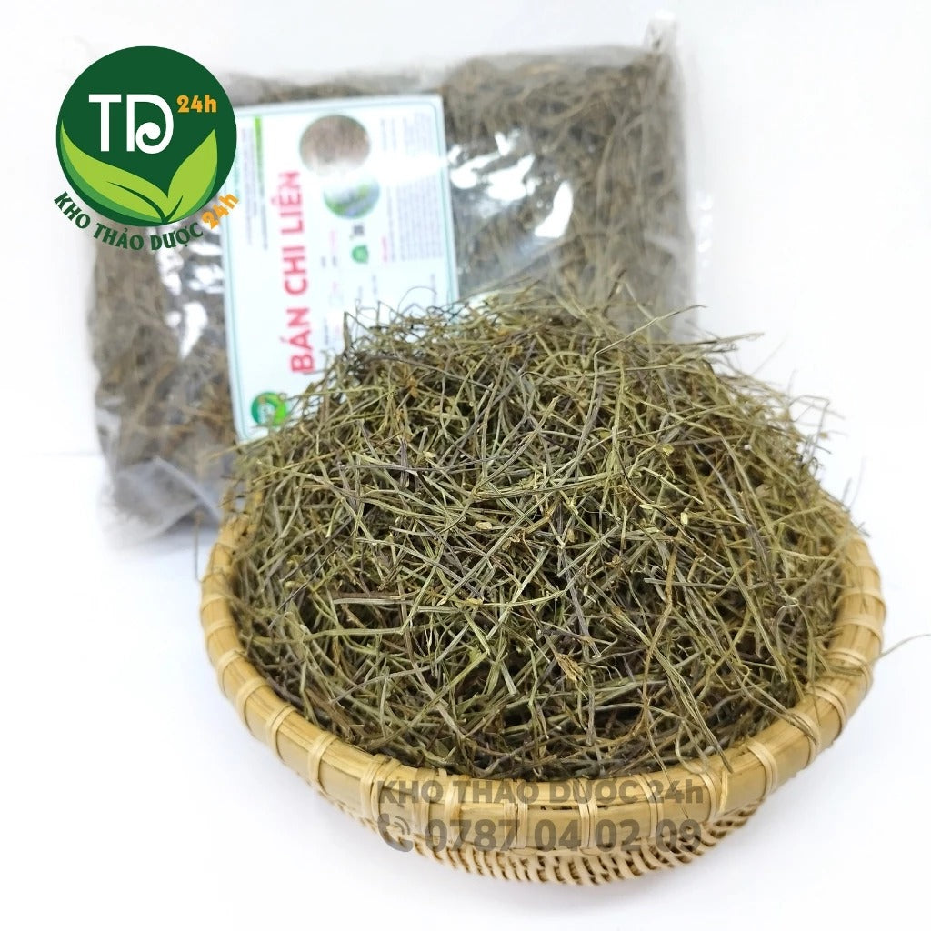 500 Gram - Bán chi liên, hỗ trợ giải độc, tiêu viêmm, đánh bay khối u, tốt cho người bị v.i.ê.m.m gann, xơ gann cổ trướng